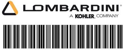  12 113 16-S DECAL, CHOKE (WHITE) Lombardini Kohler